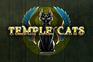 Templecats играть в Орка Казино